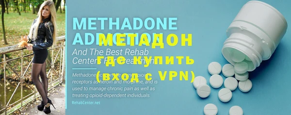 индика Богданович