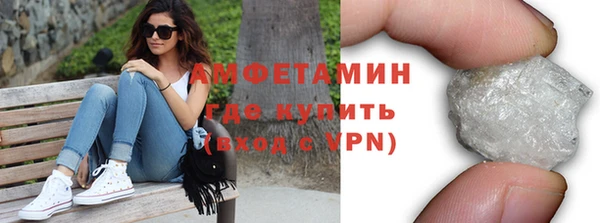 индика Богданович