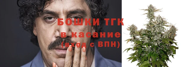 индика Богданович