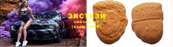 индика Богданович