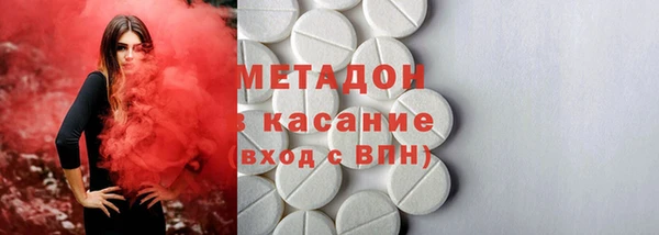 индика Богданович