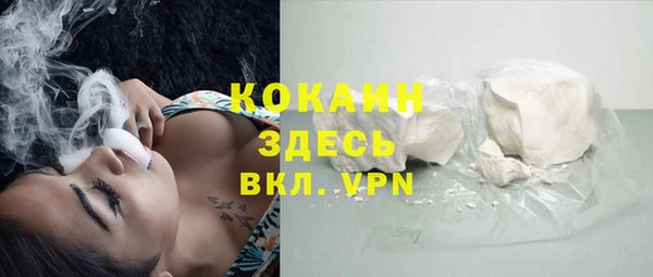 индика Богданович