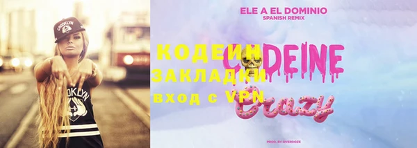 индика Богданович