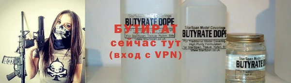 индика Богданович