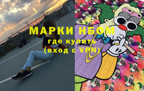 индика Богданович