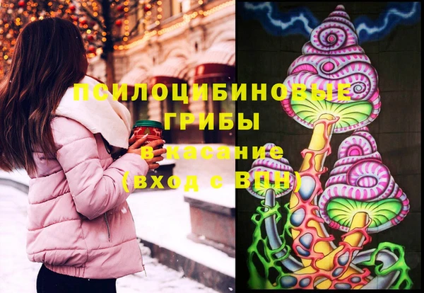 соль курить ск Богородск