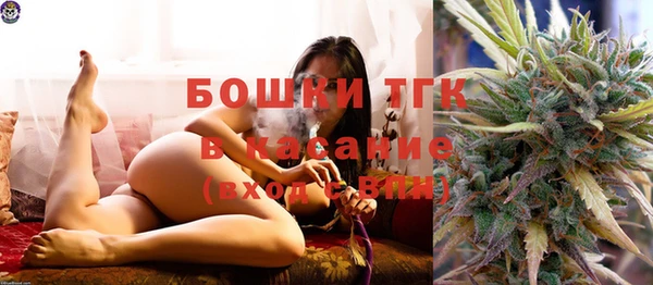 индика Богданович
