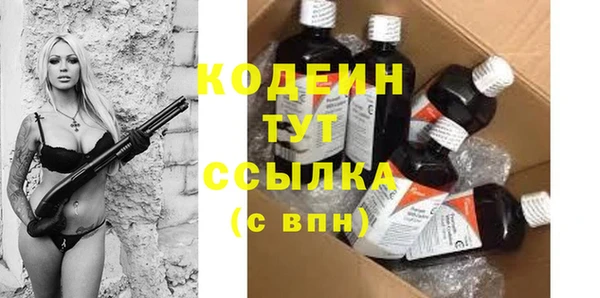 индика Богданович