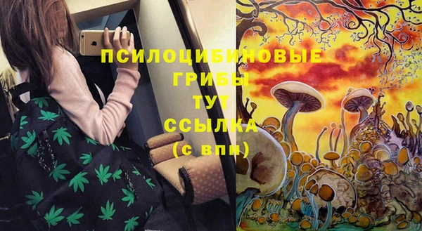 индика Богданович