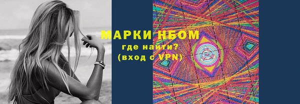 индика Богданович